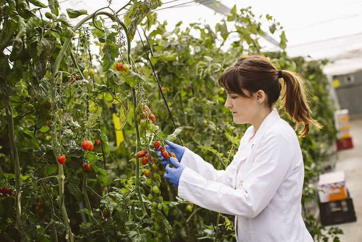 Agricultura y organizaciones agrarias piden al Gobierno Central que no discrimine a la provincia en el IRPF de 2017